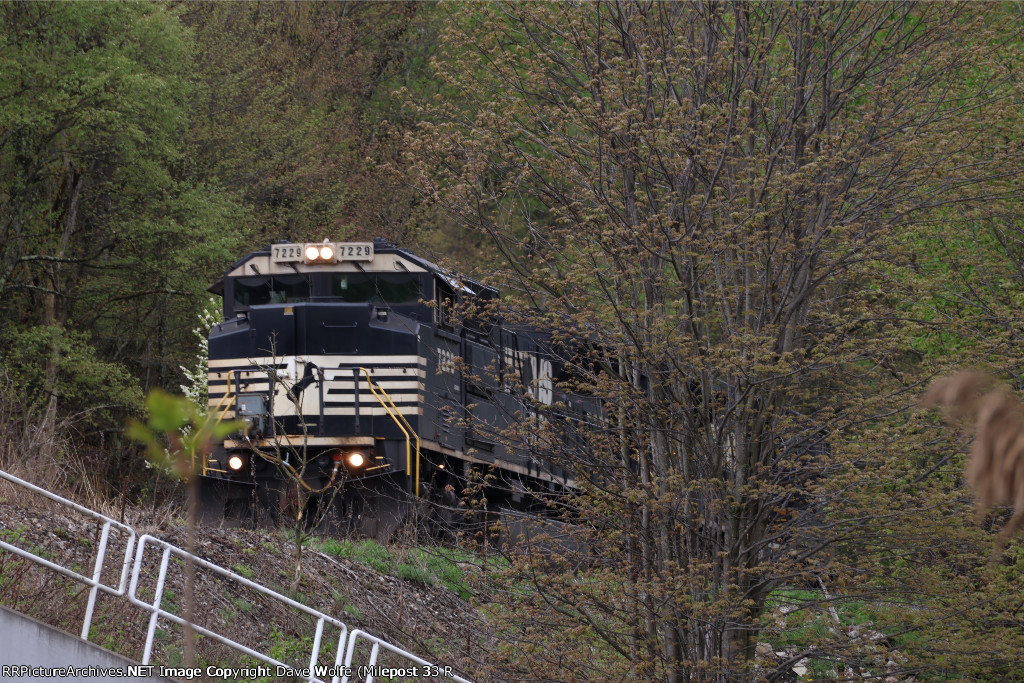 NS 7229